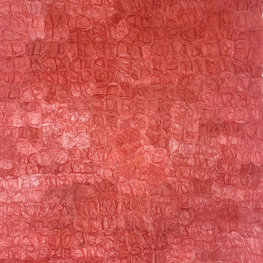 Mulberry Silk Charger (Pair) - Egyptian Red