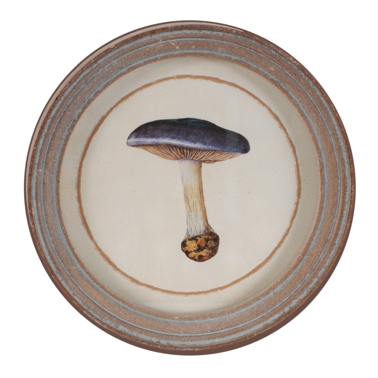Framed Mushroom Print (Set of 4)
