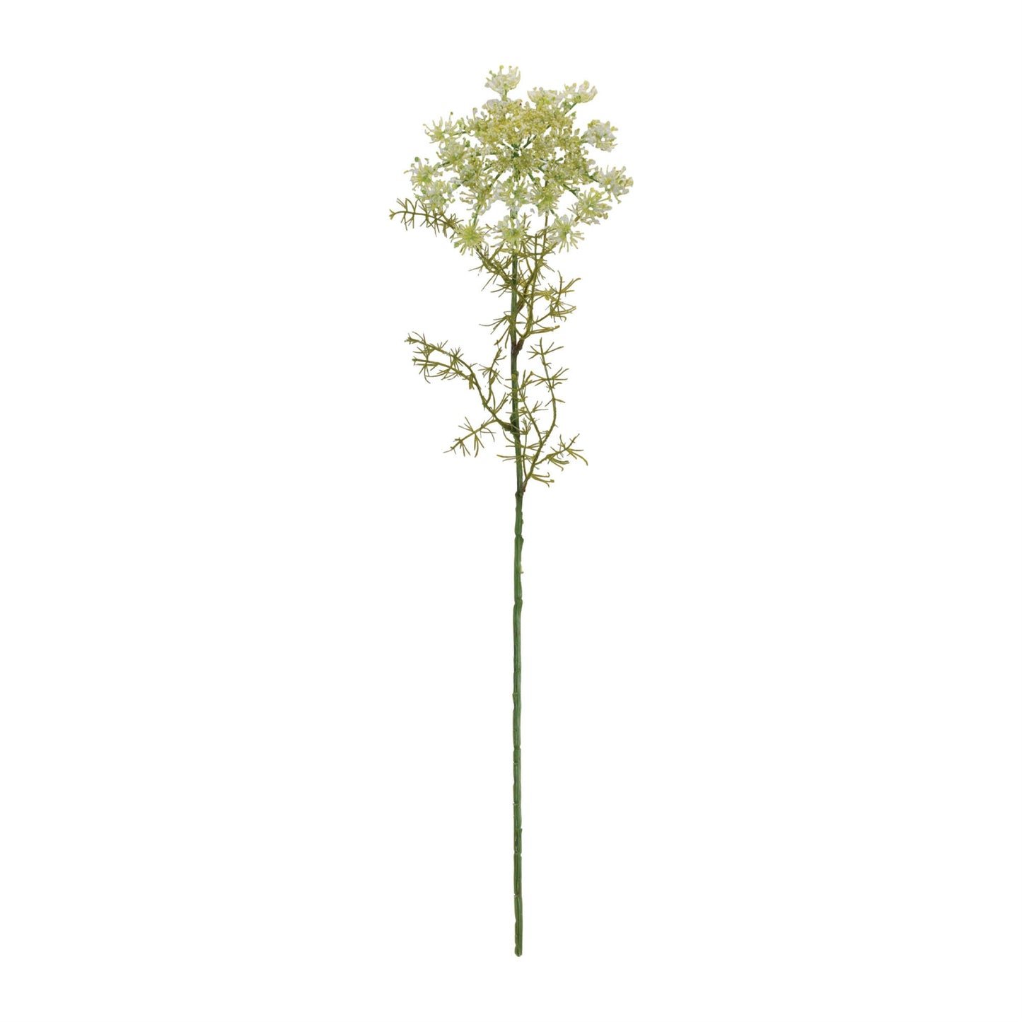 Queen AnneÕs Lace Floral Stem (Set of 4)