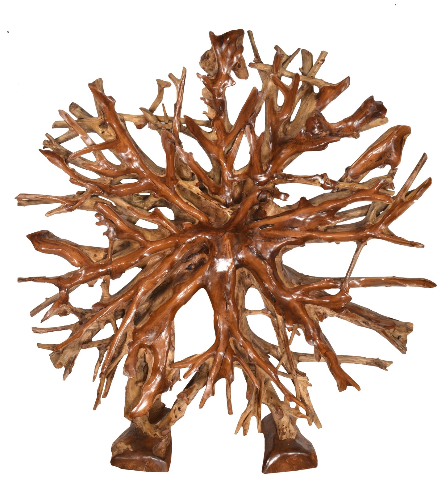Teak Root Architectural Piece with Stand B