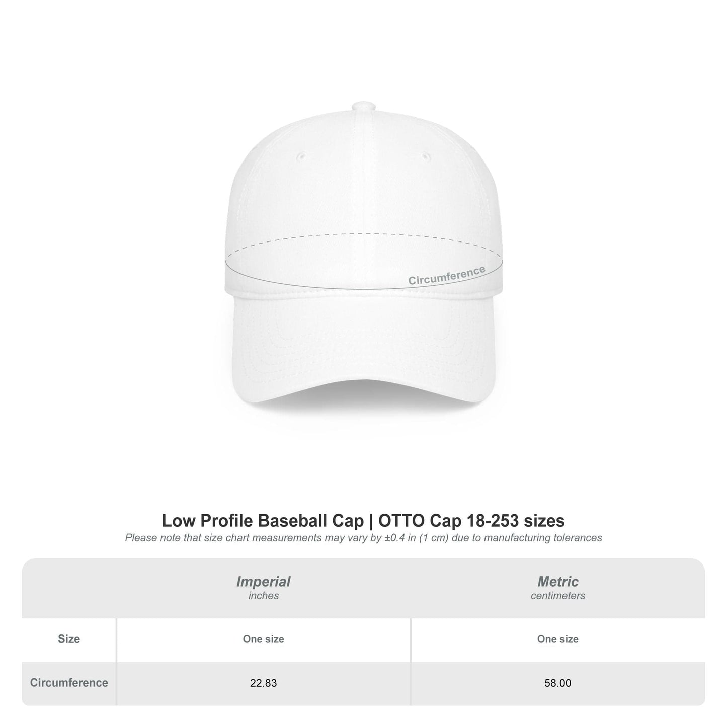 Department of Tides & Tan Lines Dad Cap – Coastal Seal Hat, Office of Saltwater Affairs