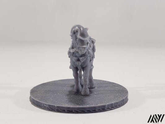 Horse A