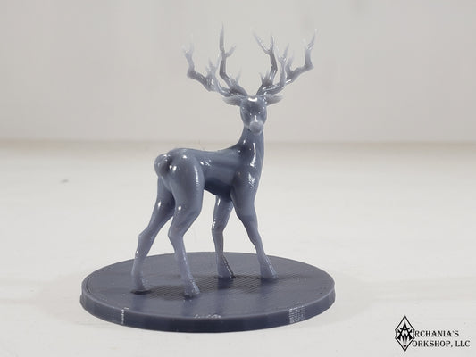 Deer