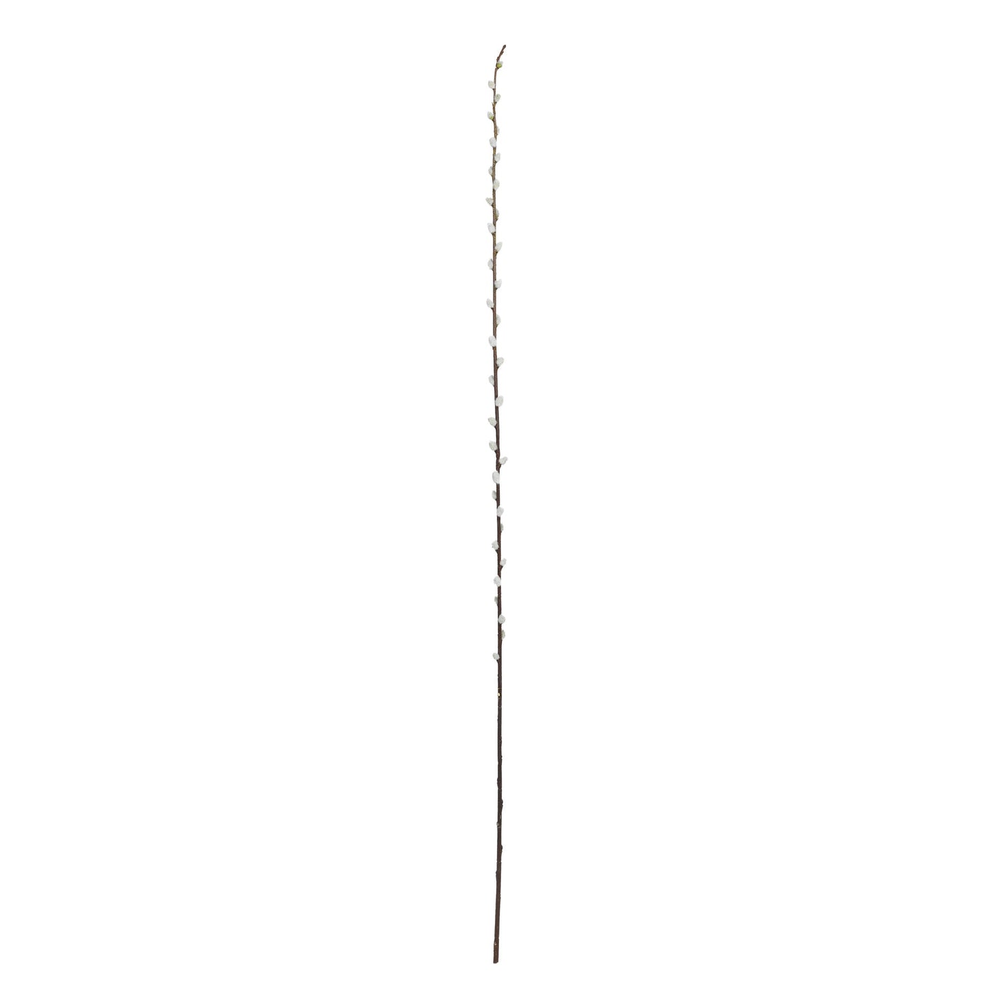 40" Pussy Willow Artificial Flower (Set of 12)