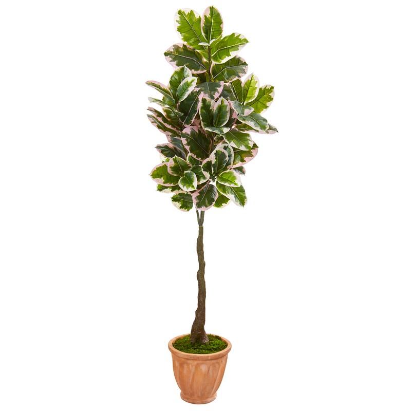 67" Variegated Rubber Leaf Artificial Tree in Terra-Cotta Planter (Real Touch)