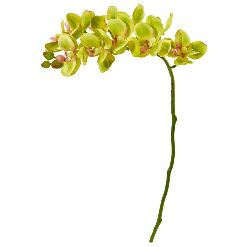 21" Phalaenopsis Orchid Artificial Flower (Set of 6)