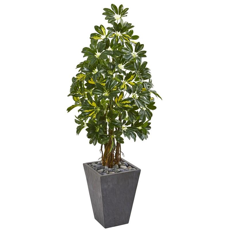 57" Schefflera Artificial Tree in Slate Planter