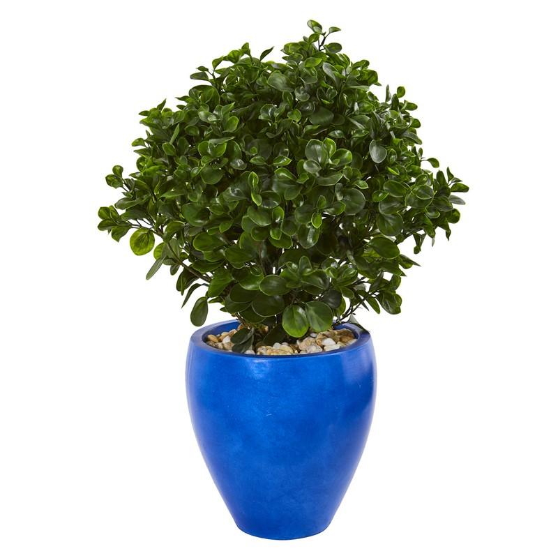 32" Peperomia Artificial Plant in Blue Planter UV Resistant (Indoor/Outdoor)