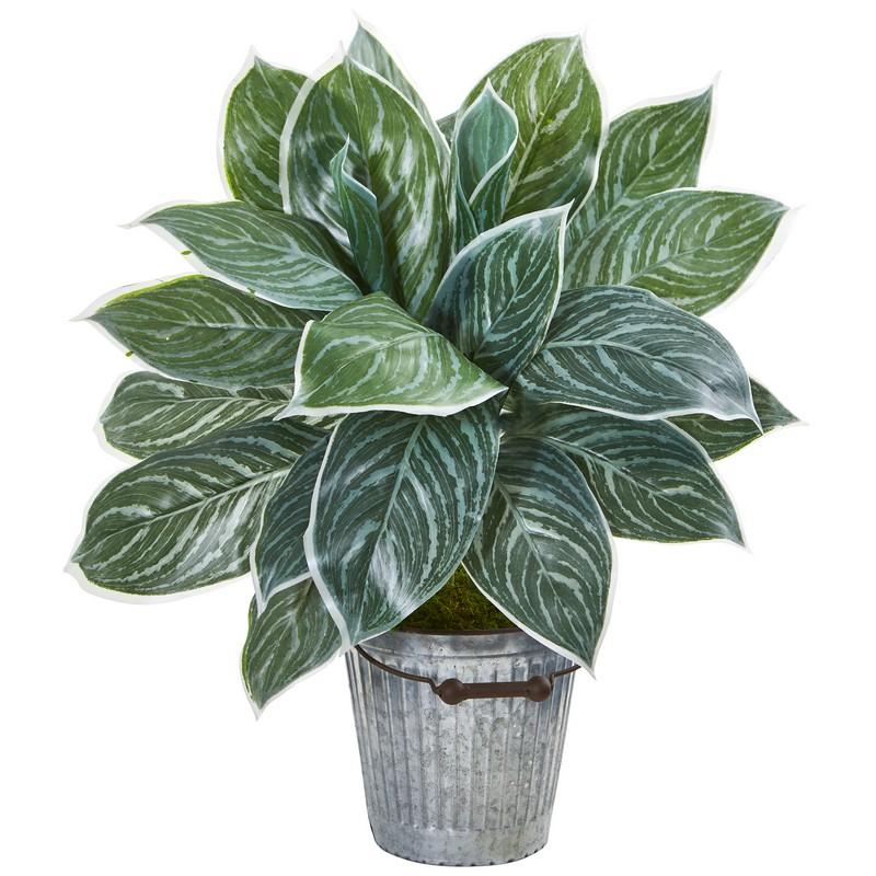 24" Silver Aglonema Artificial Plant in Decorative Bucket (Real Touch)