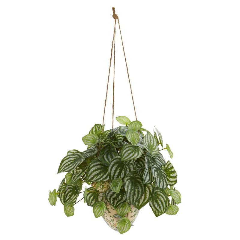 24" Watermelon Peperomia Artificial Plant in Hanging Vase (Real Touch)