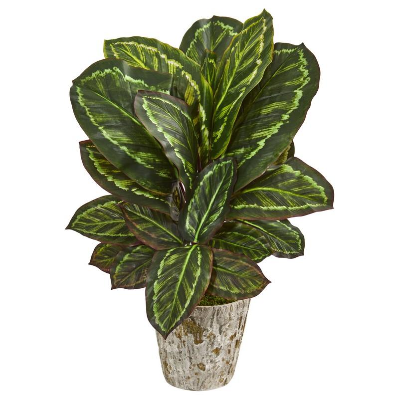 26" Maranta Artificial Plant in Weathered Oak Planter
