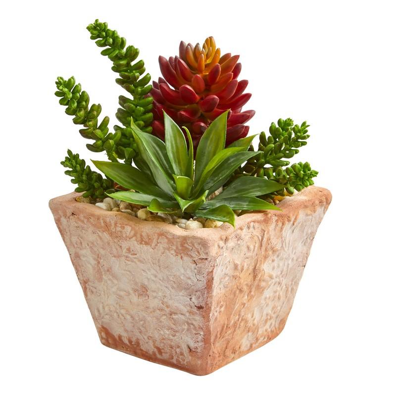 11" Mixed Succulents Artificial Plant in Small Terra Cotta Vase