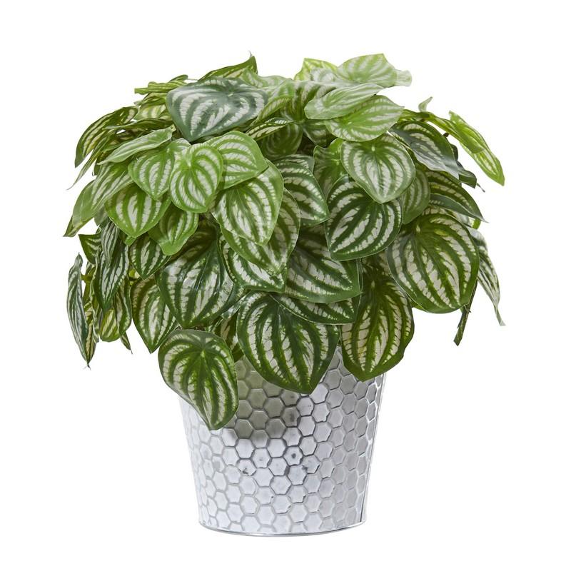 14" Watermelon Peperomia Artificial Plant in White Embossed Planter