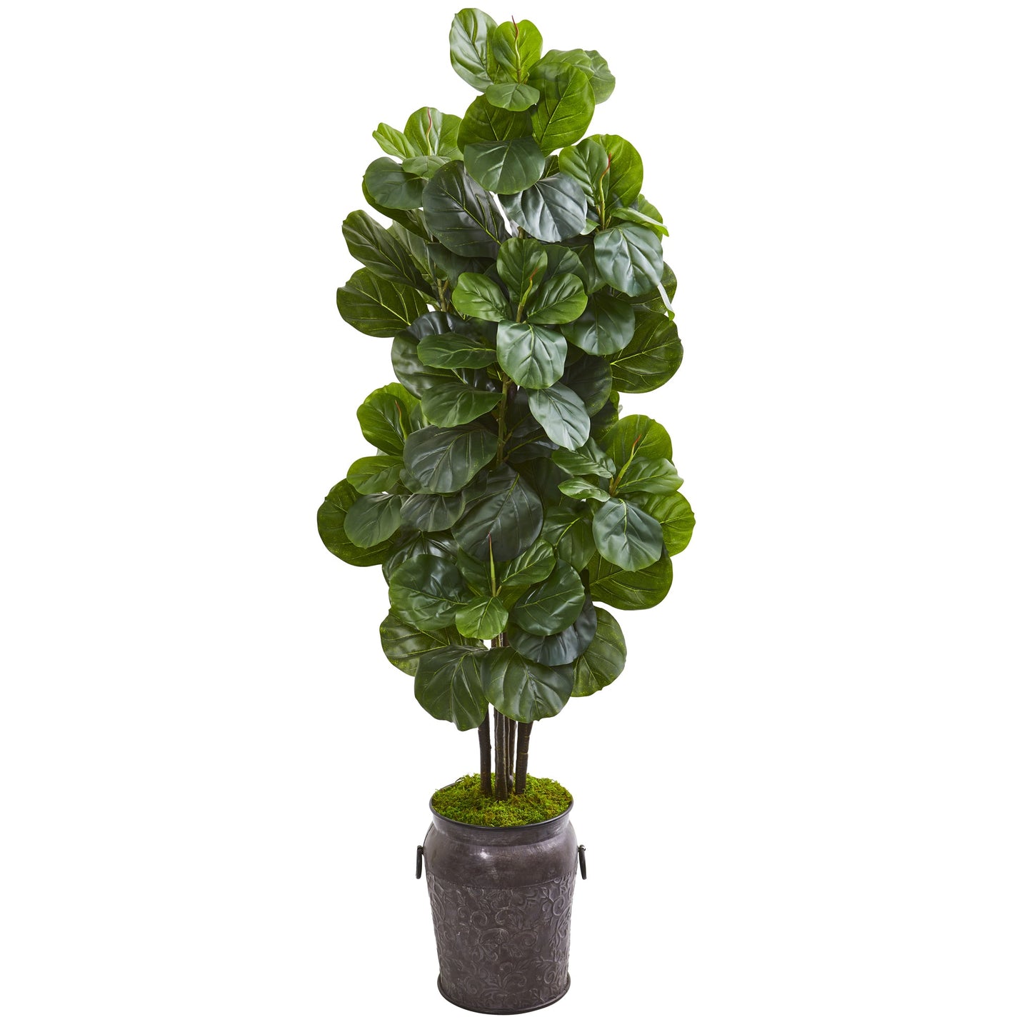 6' Fiddle Leaf Fig Artificial Tree in Metal Planter