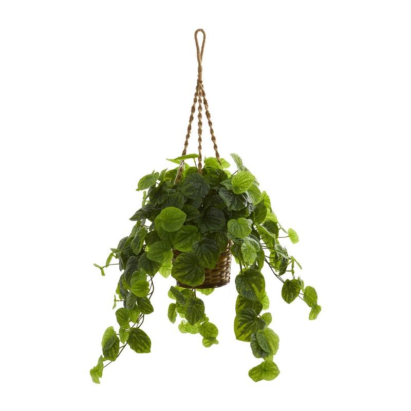 34" Peperomia Artificial Plant in Hanging Basket (Real Touch)
