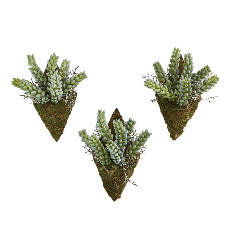 8" Sedum Succulent Artificial Wall Decor Plant (Set of 3)