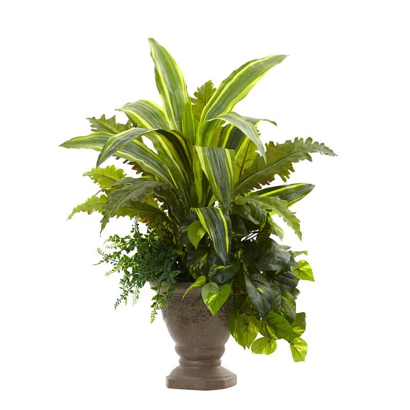 25" Mixed Yucca, Marginatum, Pothos & Bracken w/Planter