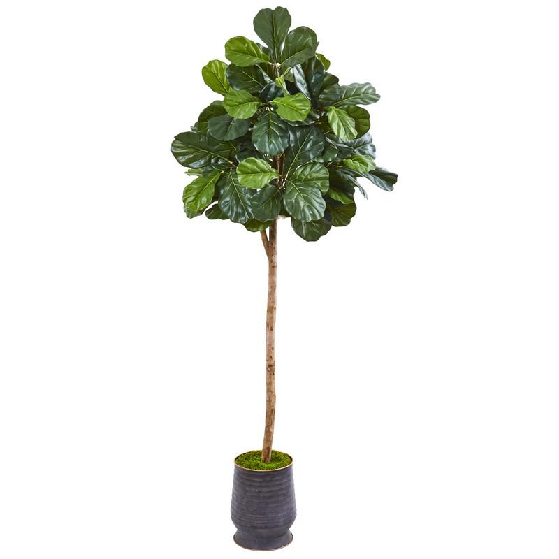 80" Fiddle Leaf Fig Artificial tree in Ribbed Metal Planter