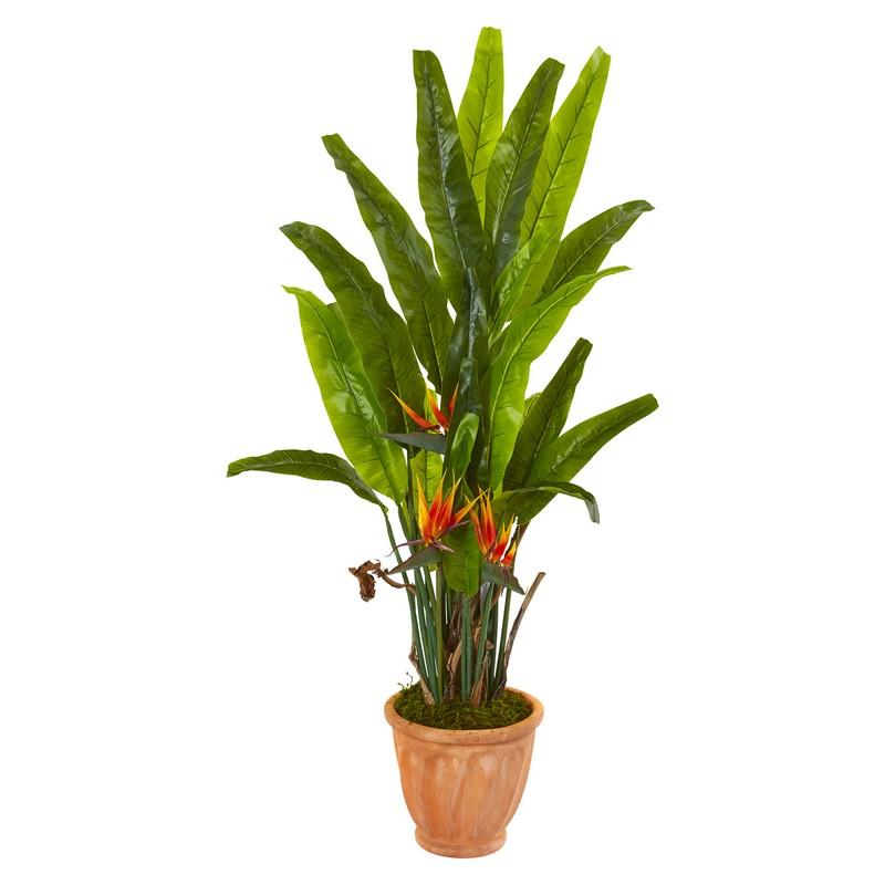 56" Bird of Paradise Artificial Plant in Terra-Cotta Planter