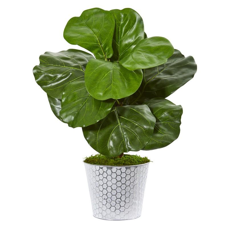 22" Fiddle Leaf Artificial Plant in Decorative Planter