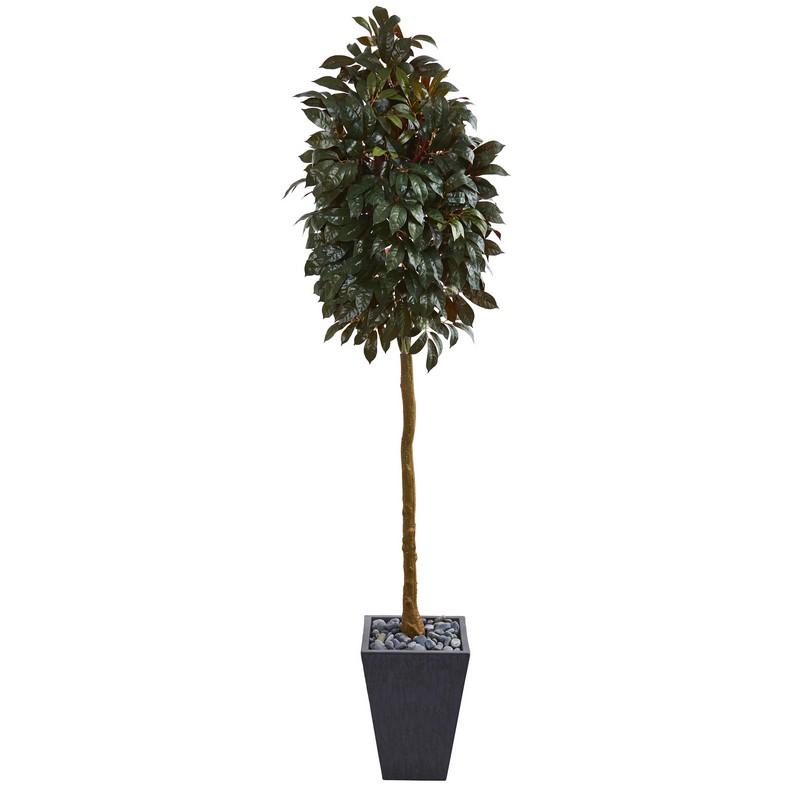 71" Capensia Ficus Artificial Tree in Slate Planter