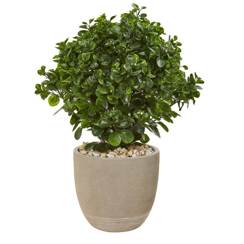 30" Peperomia Artificial Plant in Sand Stone Planter UV Resistant