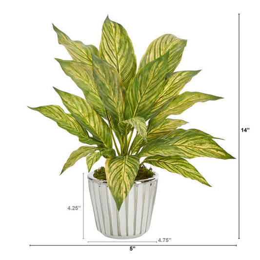 14" Musa Leaf Artificial Plant in White Planter with Silver Trimming
