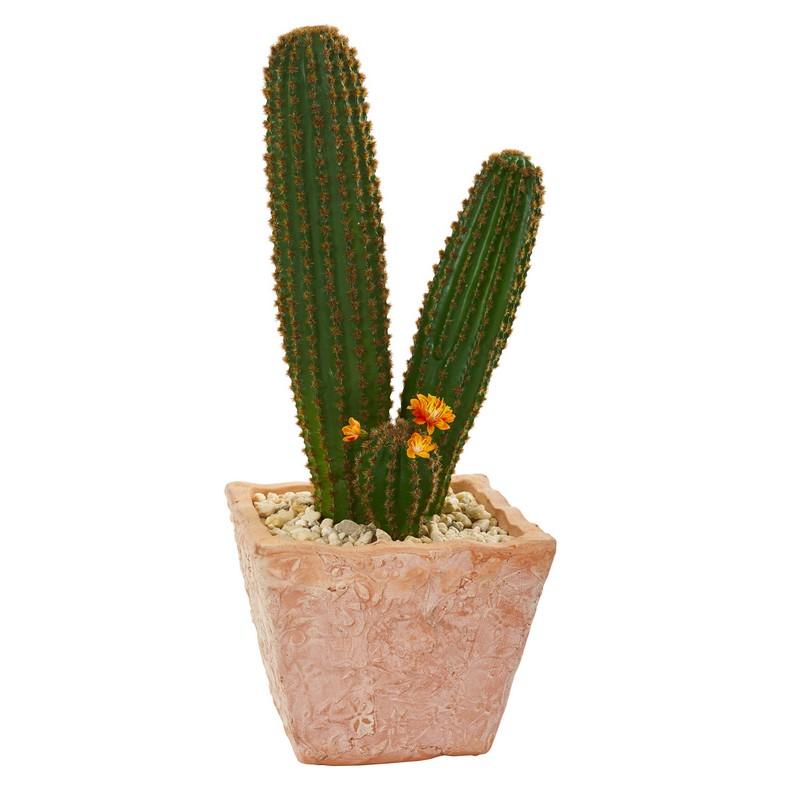 23" Cactus Succulent Artificial Plant in Terra Cotta Planter