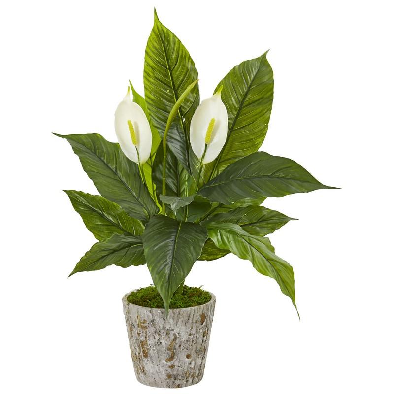 29" Spathifyllum Artificial Plant in Weathered Oak Planter