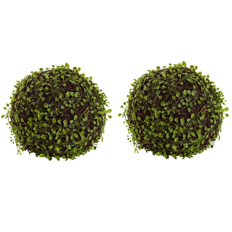 9" Mohlenbechia Ball (Set of 2)
