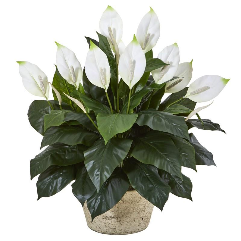 35" Spathifyllum Artificial Plant in White Planter