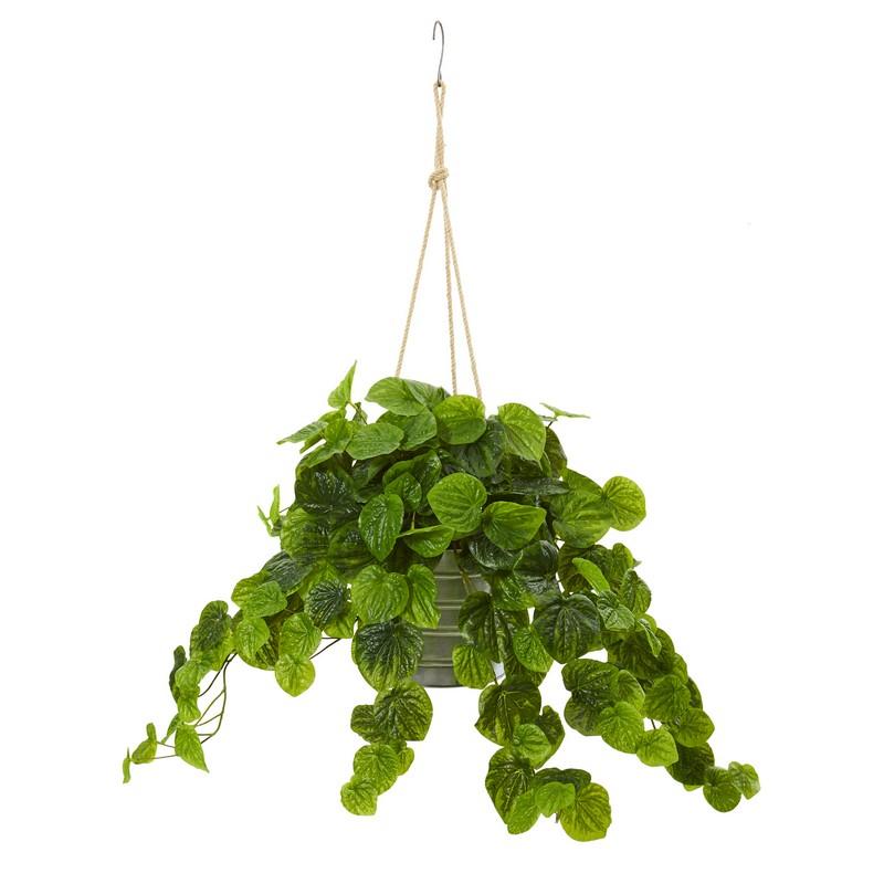 30" Peperomia Artificial Plant in Hanging Bucket (Real Touch)