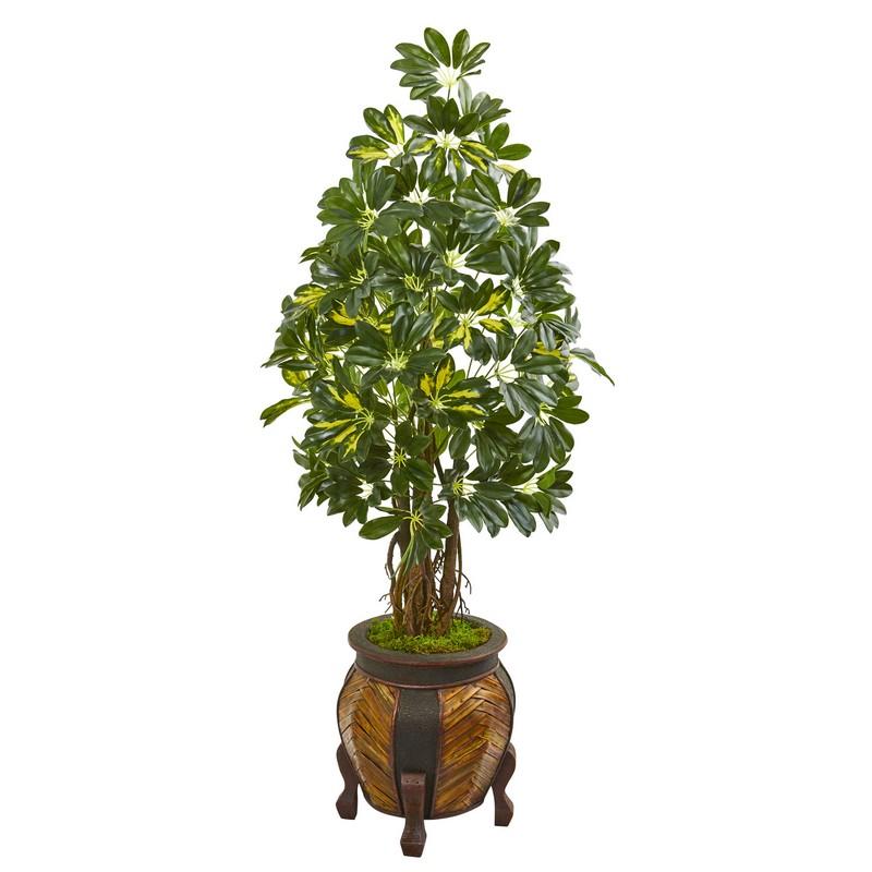 57" Schefflera Artificial Tree in Decorative Planter