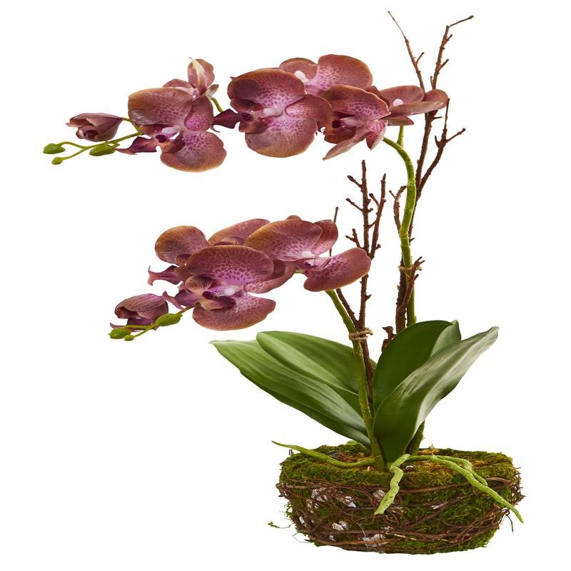 23" Chocolate Phalaenopsis Orchid Artificial Arrangement in Twig Basket