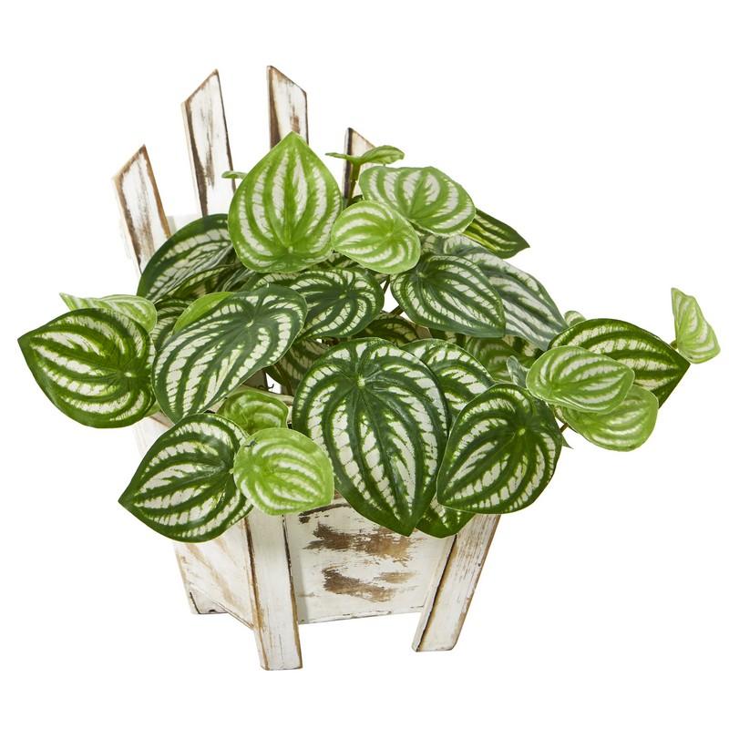 8" Watermelon Peperomia Artificial Plant in Chair Planter (Real Touch)