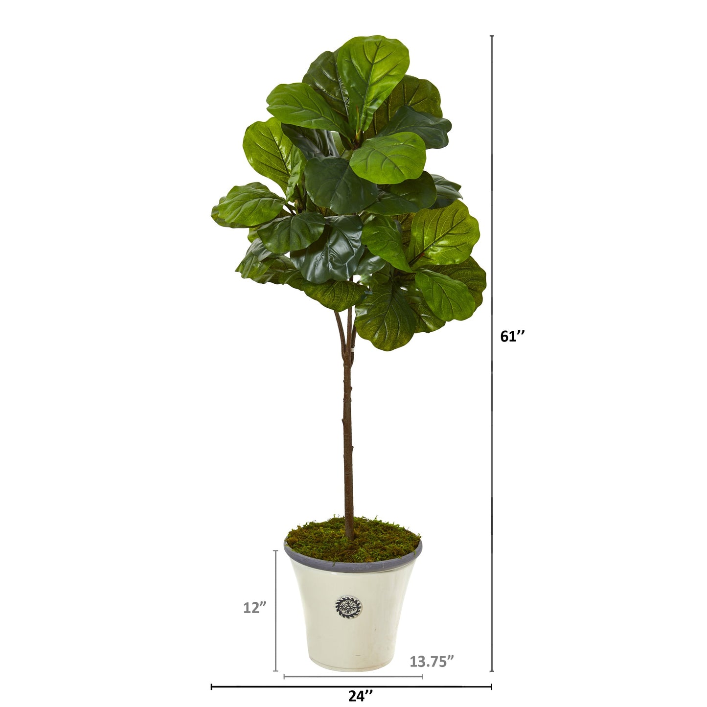 61" Fiddle Leaf Artificial Tree in Planter (Real Touch)