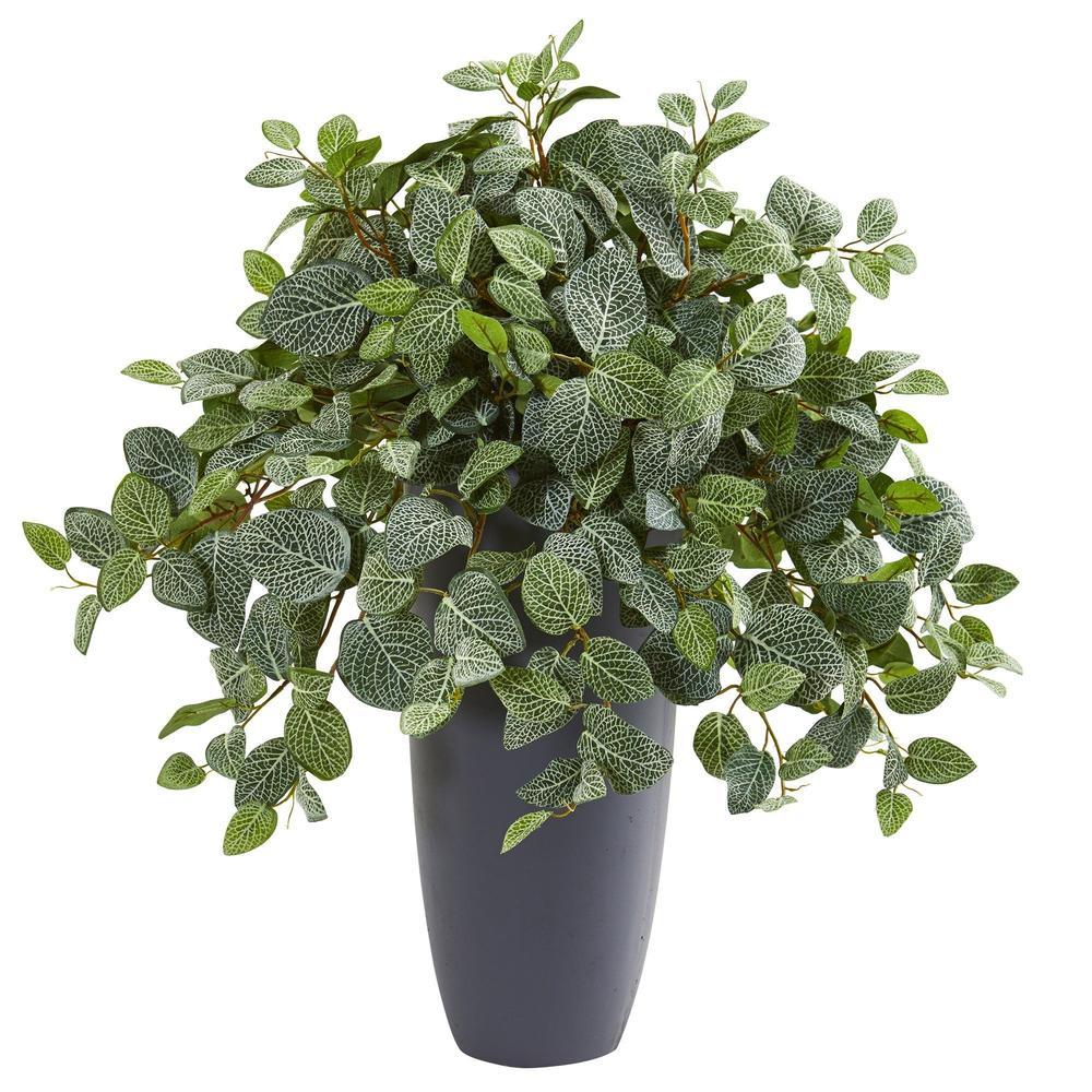 28" Fittonia Artificial Plant in Gray Planter (Real Touch)
