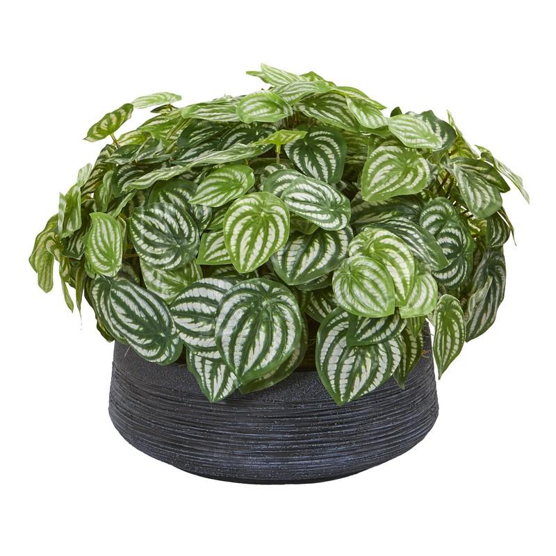 14" Watermelon Peperomia Artificial Plant in Decorative Bowl (Real Touch)