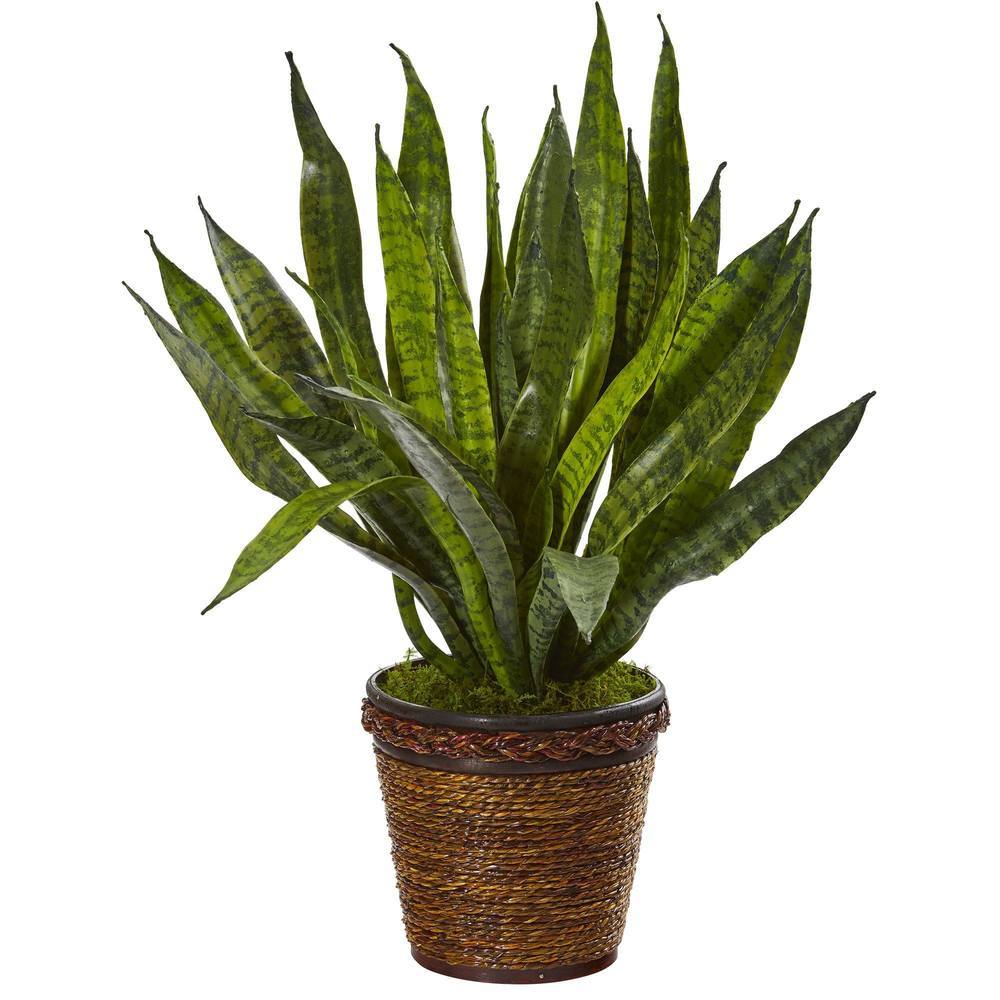 23" Sansevieria Artificial Plant in Basket