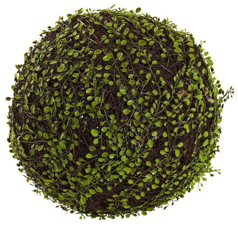 15" Dia. Mohlenbechia Ball