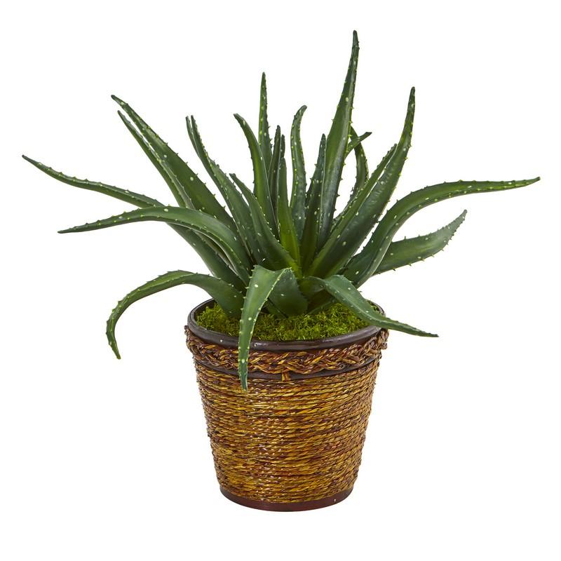 16" Aloe Artificial Plant in Basket
