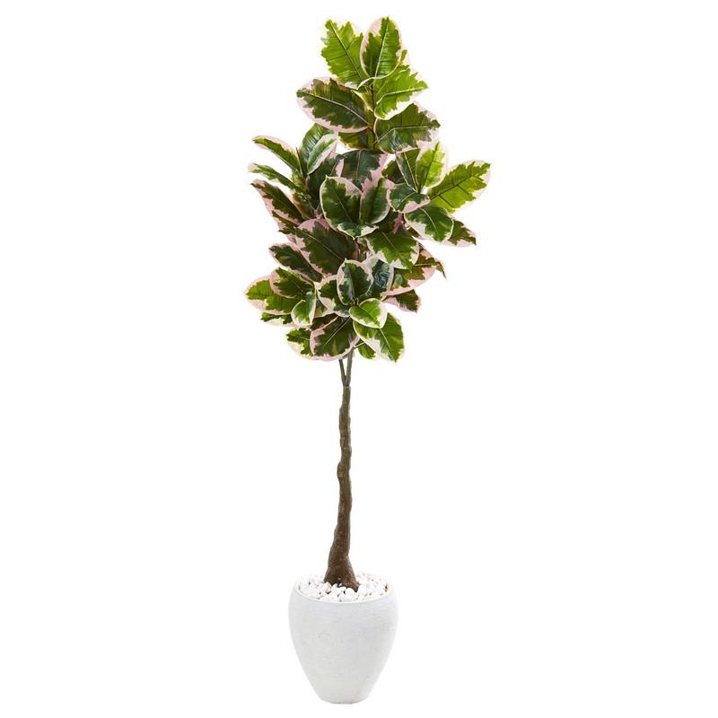 69" Variegated Rubber Leaf Artificial Tree in White Planter (Real Touch)