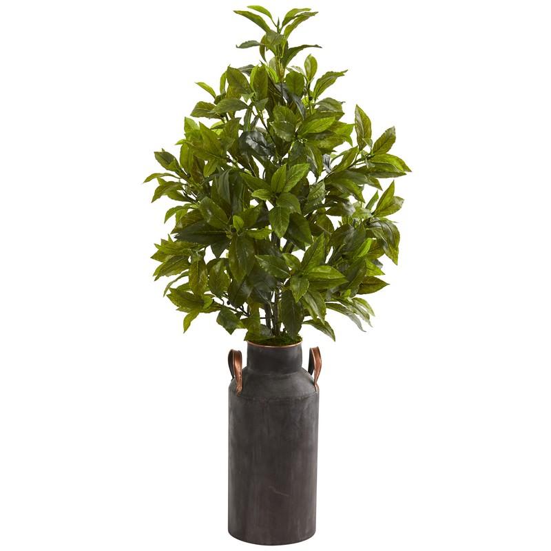 32" Coffee Leaf Artificial Plant in Decorative Canister (Real Touch)
