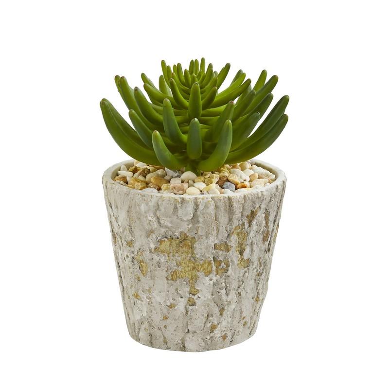 11" Succulent Artificial Plant in Weathered Oak Planter