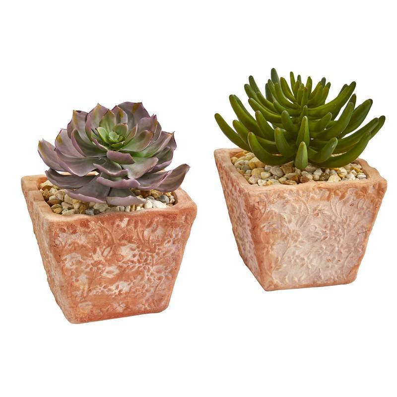 9" Succulent Artificial Plant in Terra Cotta Planter (Set of 2)