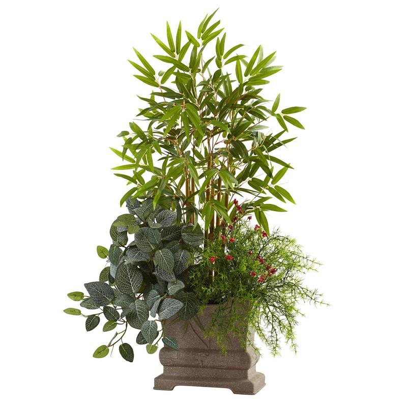 38" Mixed Mini Bamboo, Fittonia & Springeri w/Planter