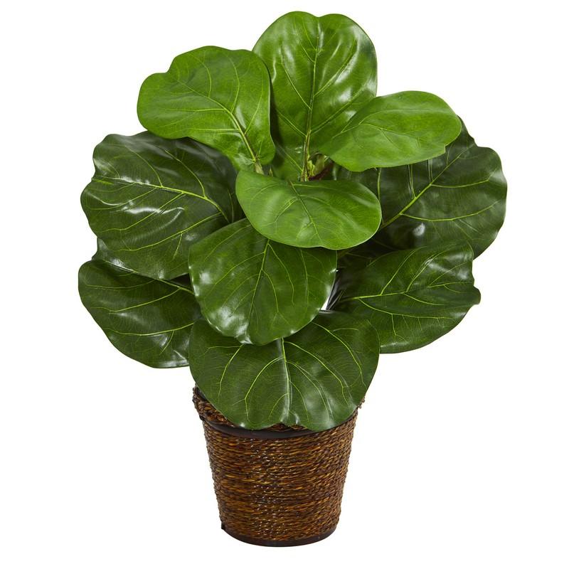 20" Fiddle Leaf Artificial Plant in Basket
