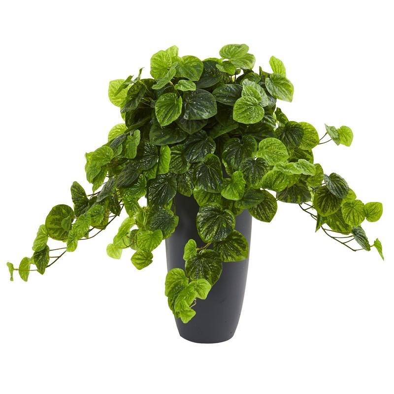 26" Peperomia Artificial Plant in Decorative Planter (Real Touch)