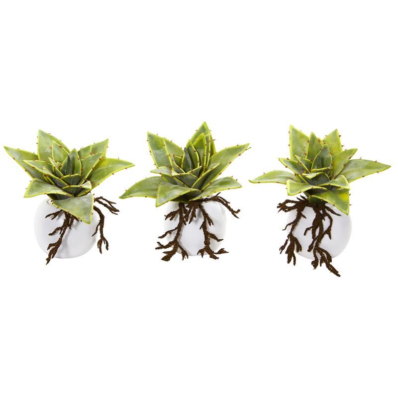 6" Dusty Succulent Artificial Plant in White Vase (Set of 3)