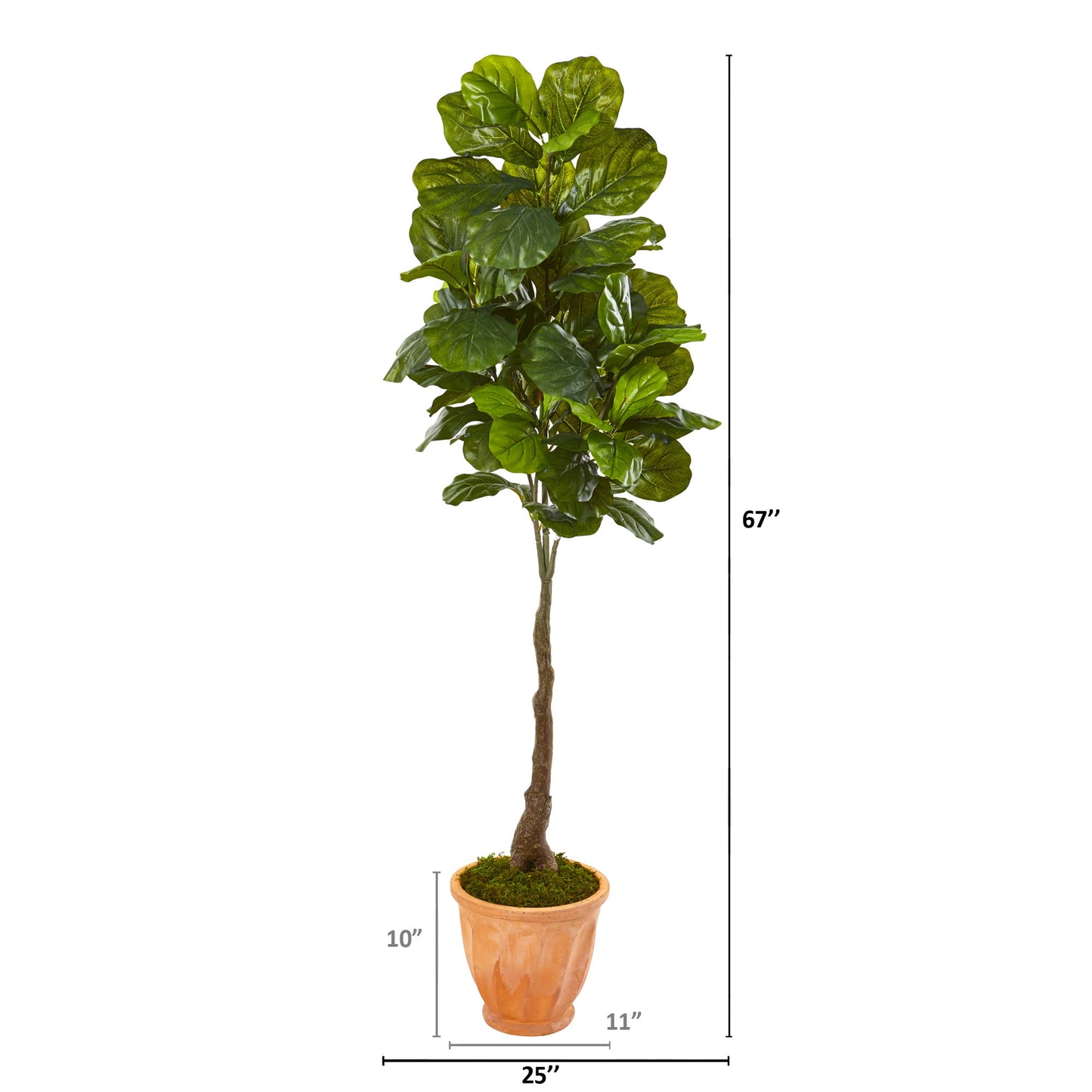 67" Fiddle Leaf Artificial Tree in Terra-Cotta Planter (Real Touch)